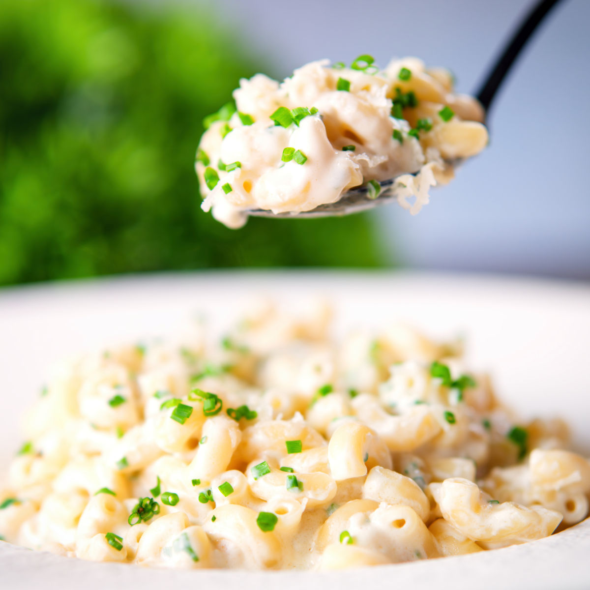 Cream Cheese (Philadelphia) Pasta