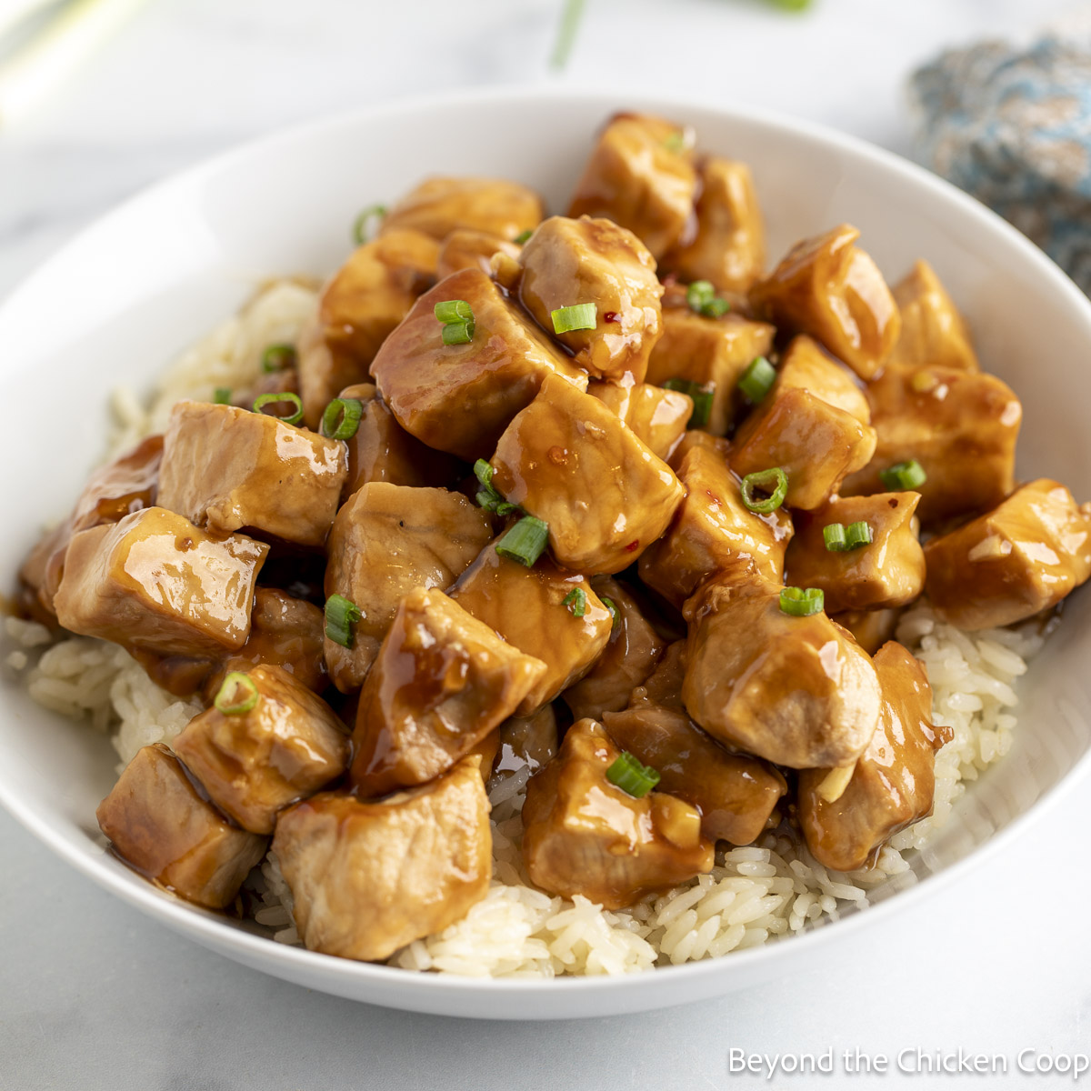 Honey Garlic Pork