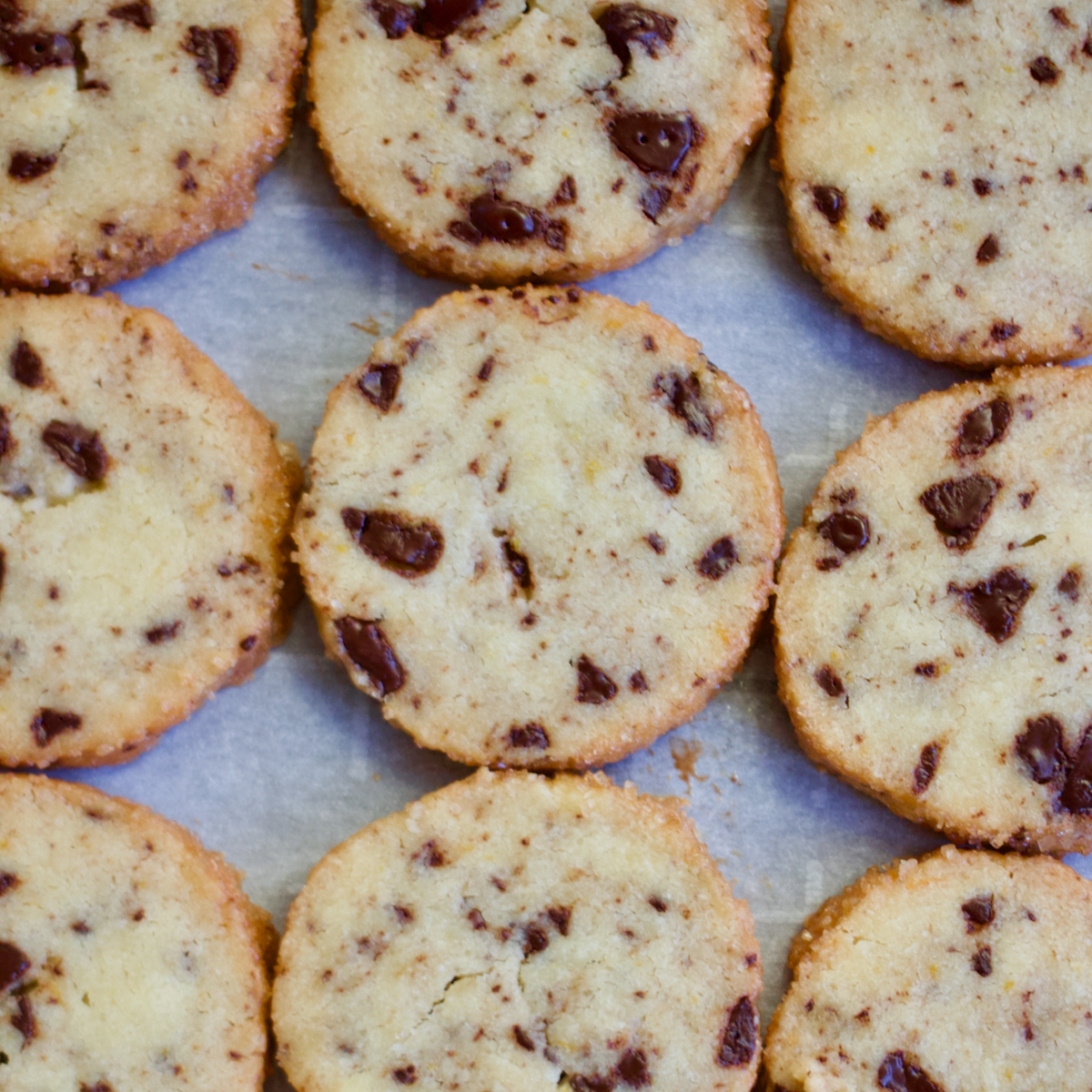Orange & Chocolate Sables