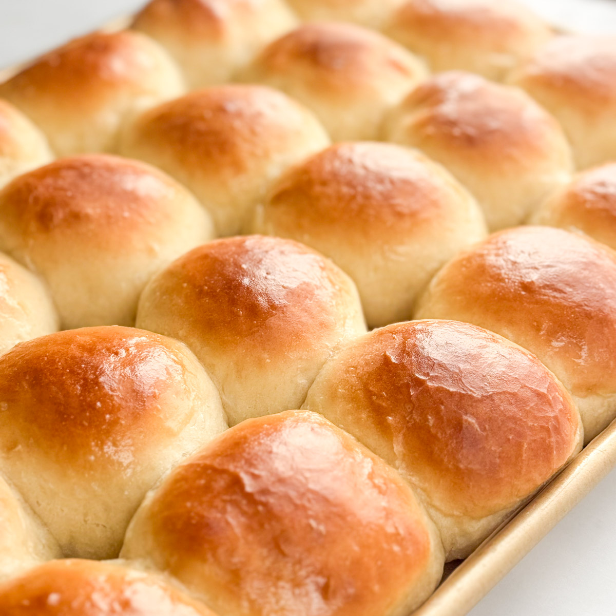 Overnight Dinner Rolls