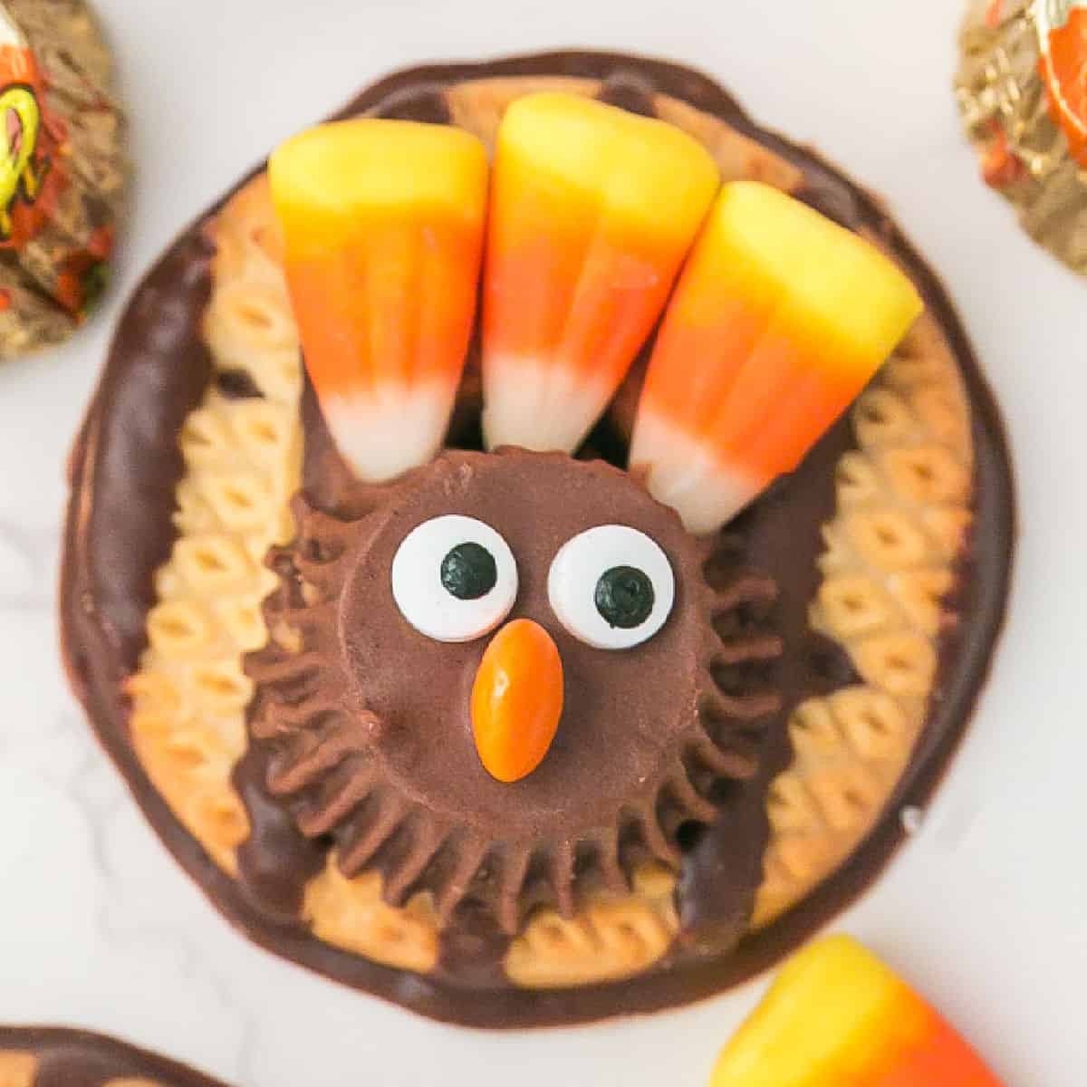 Easy Turkey Cookies