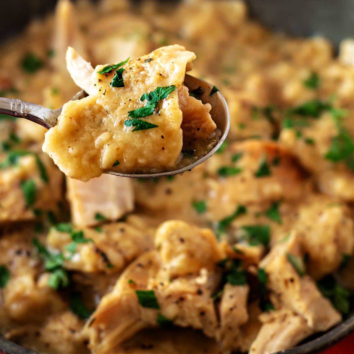 Turkey and Stuffing Dumplings