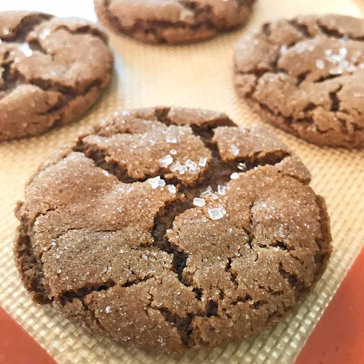 Chewy Ginger Spice Cookies