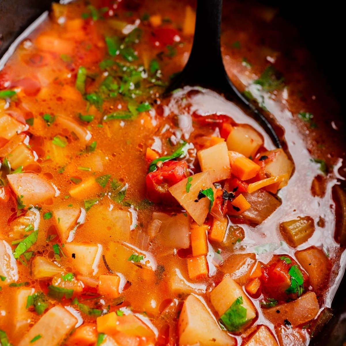 Slow Cooker Vegetable Stew