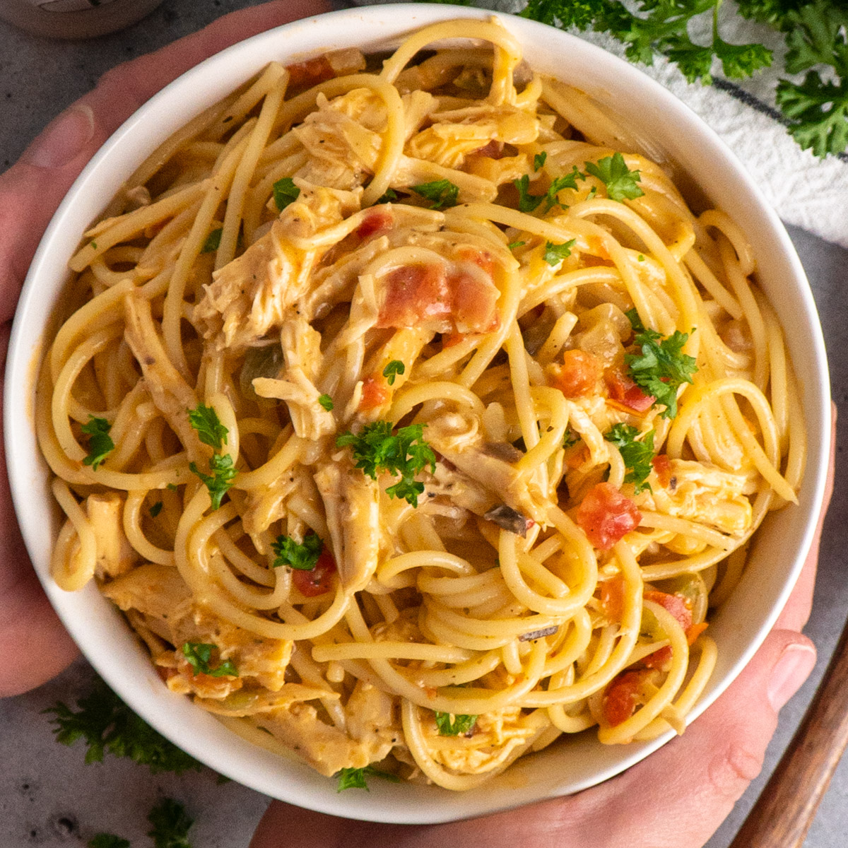Crock Pot Chicken Spaghetti