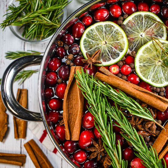 Cranberry Simmer Pot