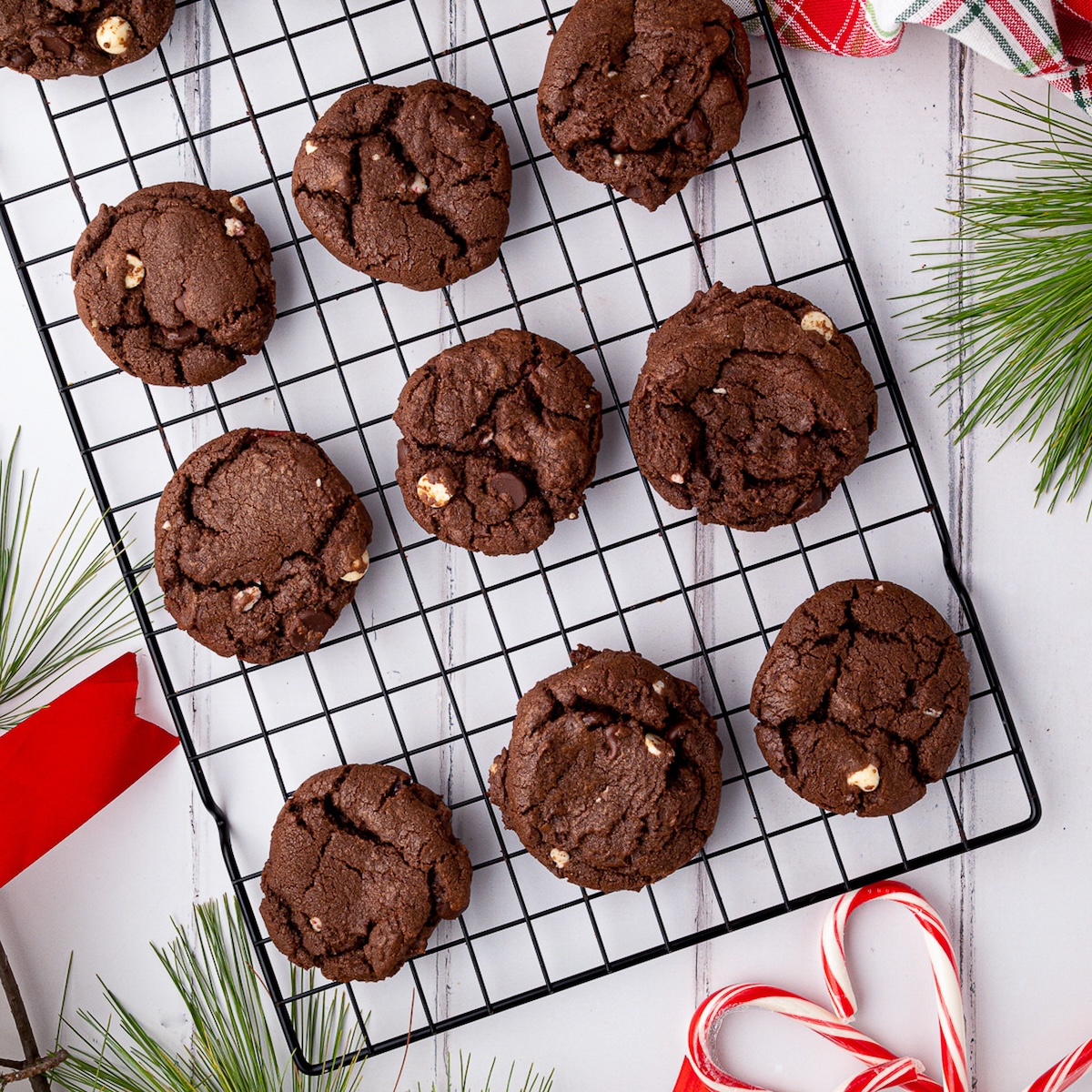 Double Chocolate Peppermint Cookies