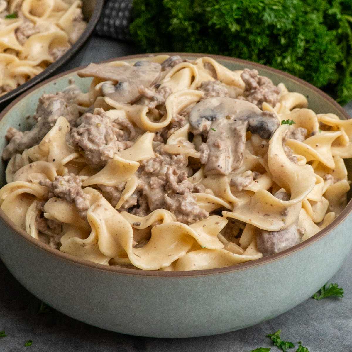 Ground Beef Stroganoff