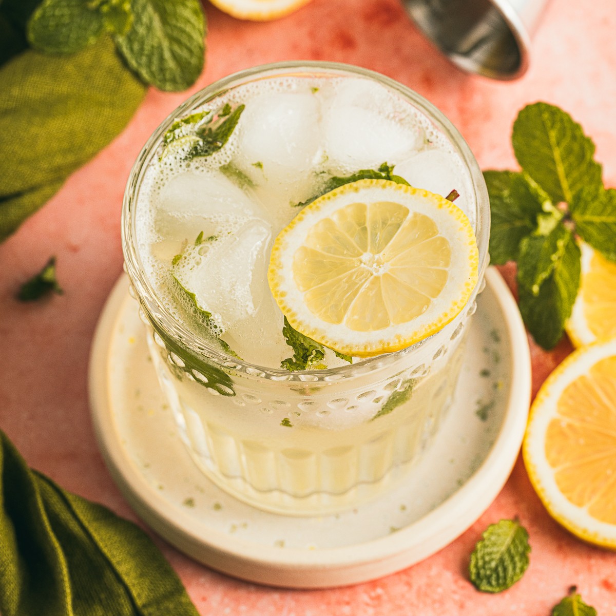 Lemon Mojito Mocktail
