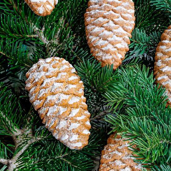Pinecone Molded Gingerbread Cookies