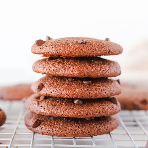 Fudgy Double Chocolate Cookies