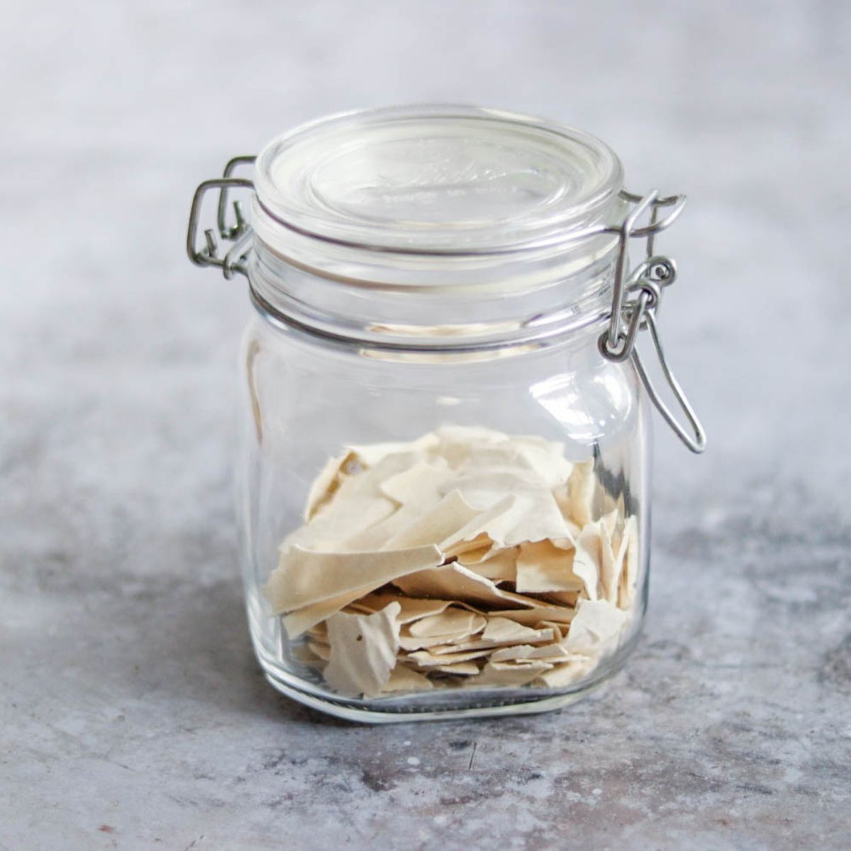 How to Dehydrate Sourdough Starter