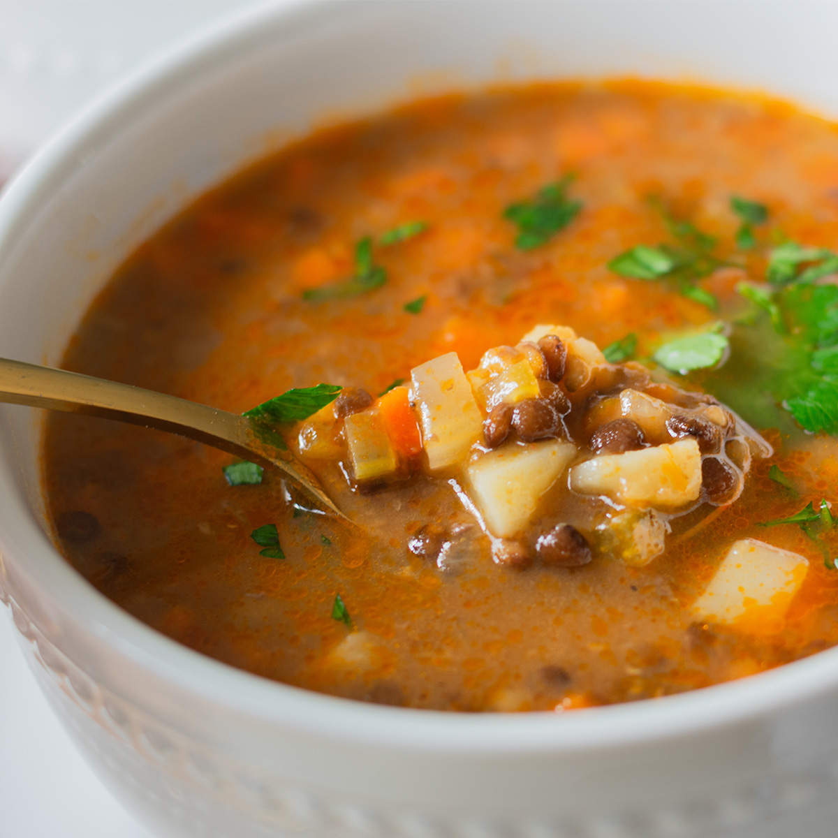 Hearty Vegetarian Lentil Soup