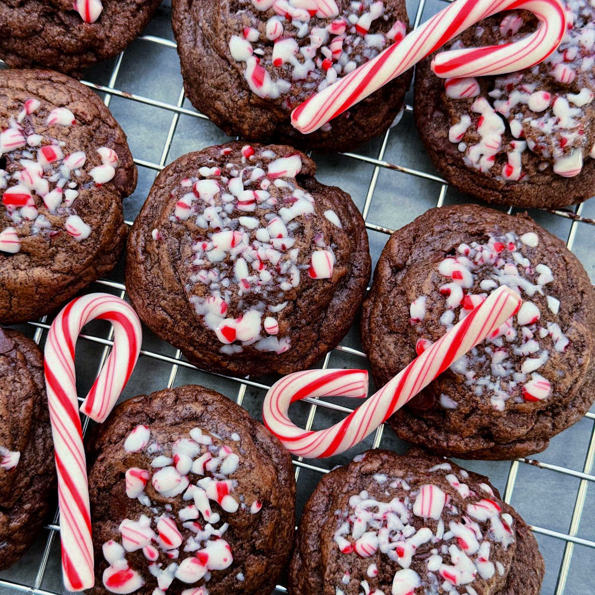 Peppermint Chocolate Cookies
