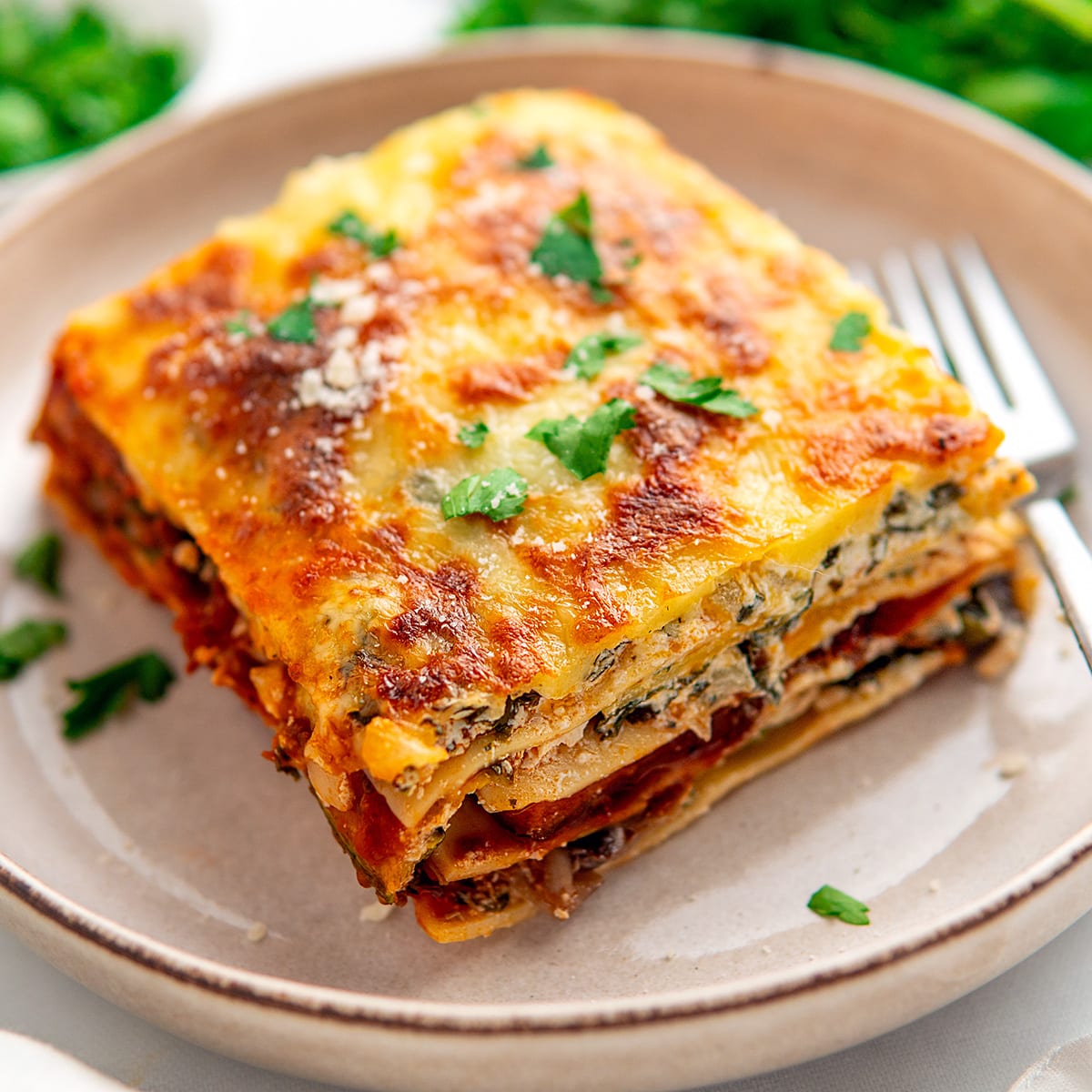 Vegetable Cottage Cheese Lasagna
