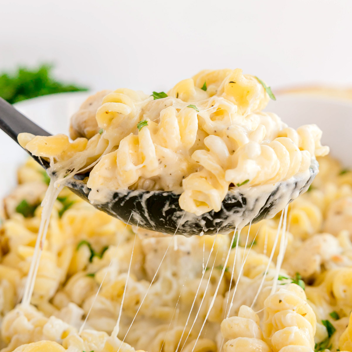 Chicken Alfredo Pasta Bake