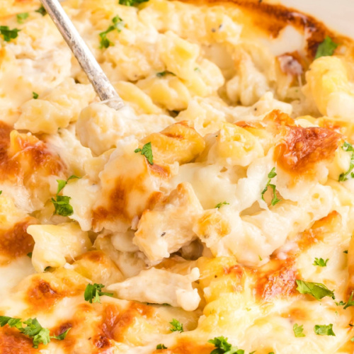 Chicken Alfredo Bake
