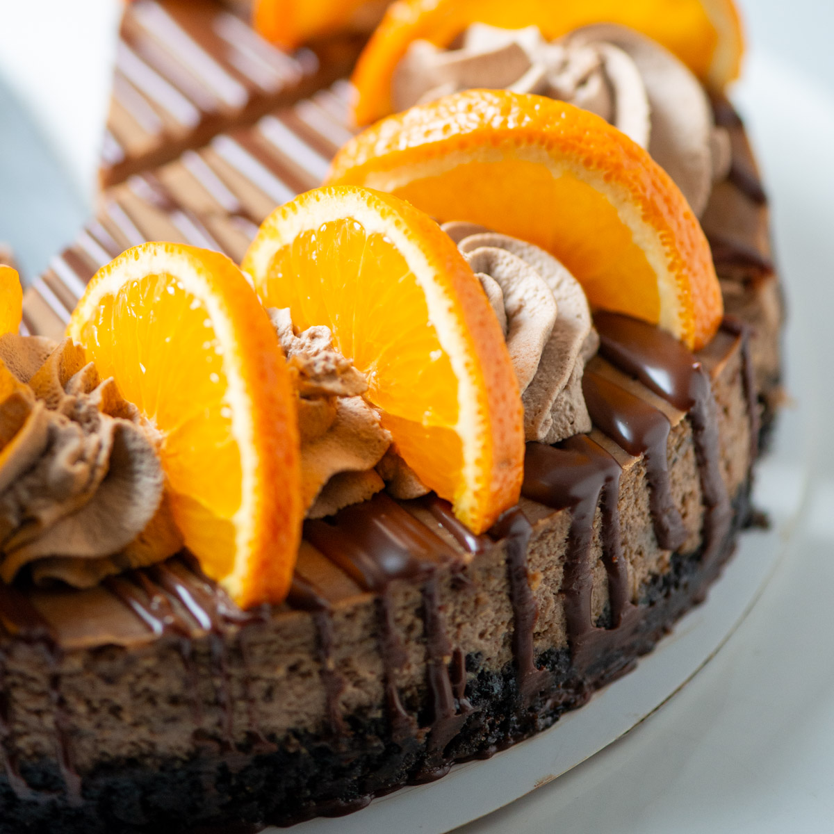 Orange Chocolate Cheesecake