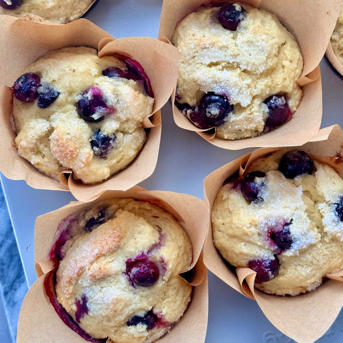 Protein Blueberry Muffins