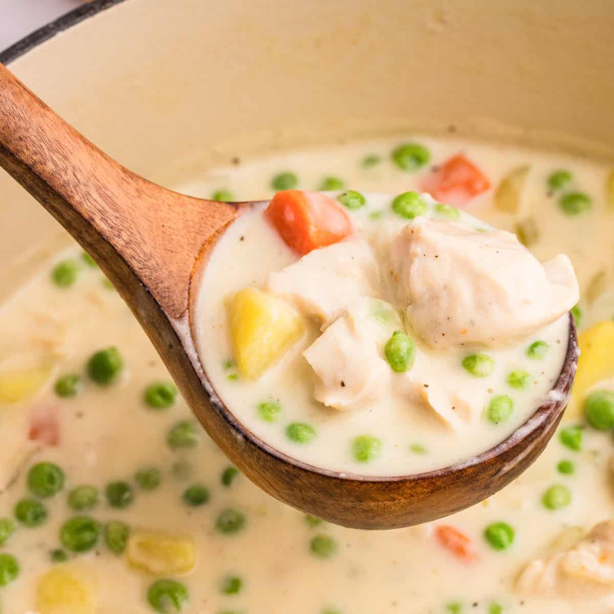 Creamy Chicken Stew