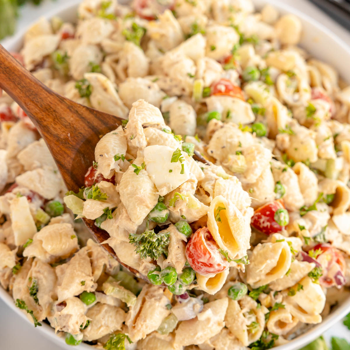 Creamy Tuna Pasta Salad