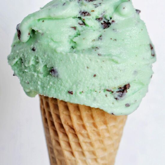 Mint Chocolate Chip Italian Gelato