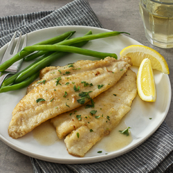 Fillet of Sole, Lemon-Wine Sauce