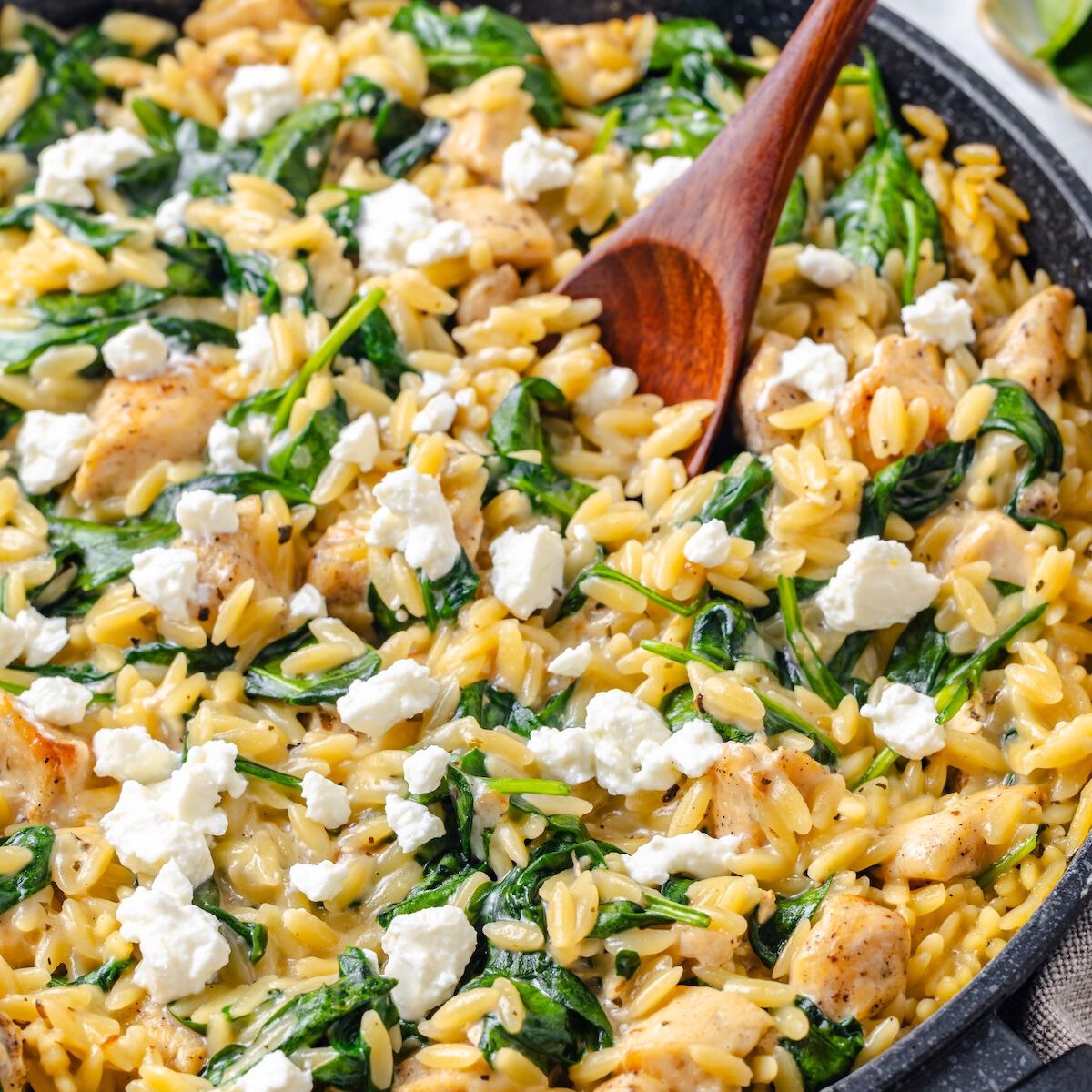 Skillet Chicken and Orzo