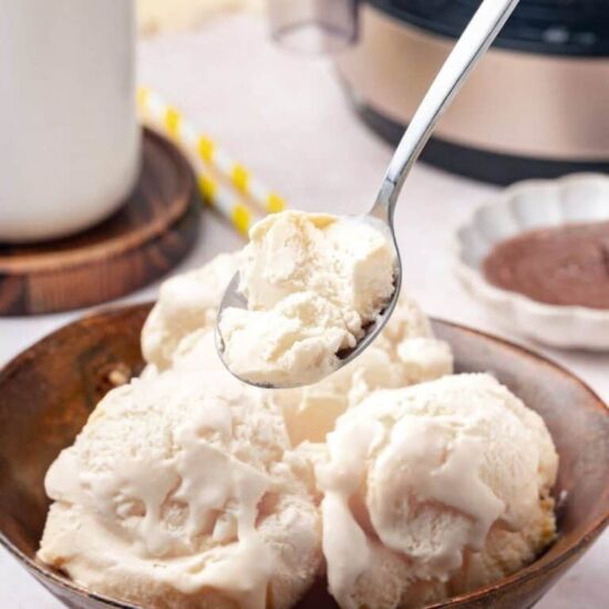Coconut Milk Ice Cream