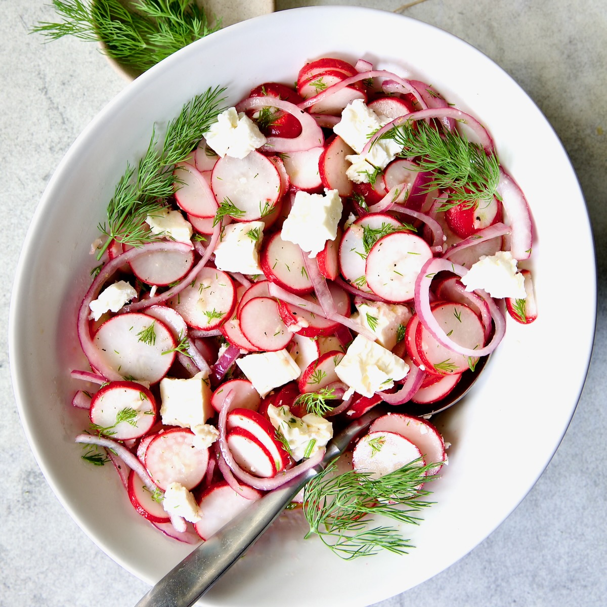Radish and Red Onion Salad