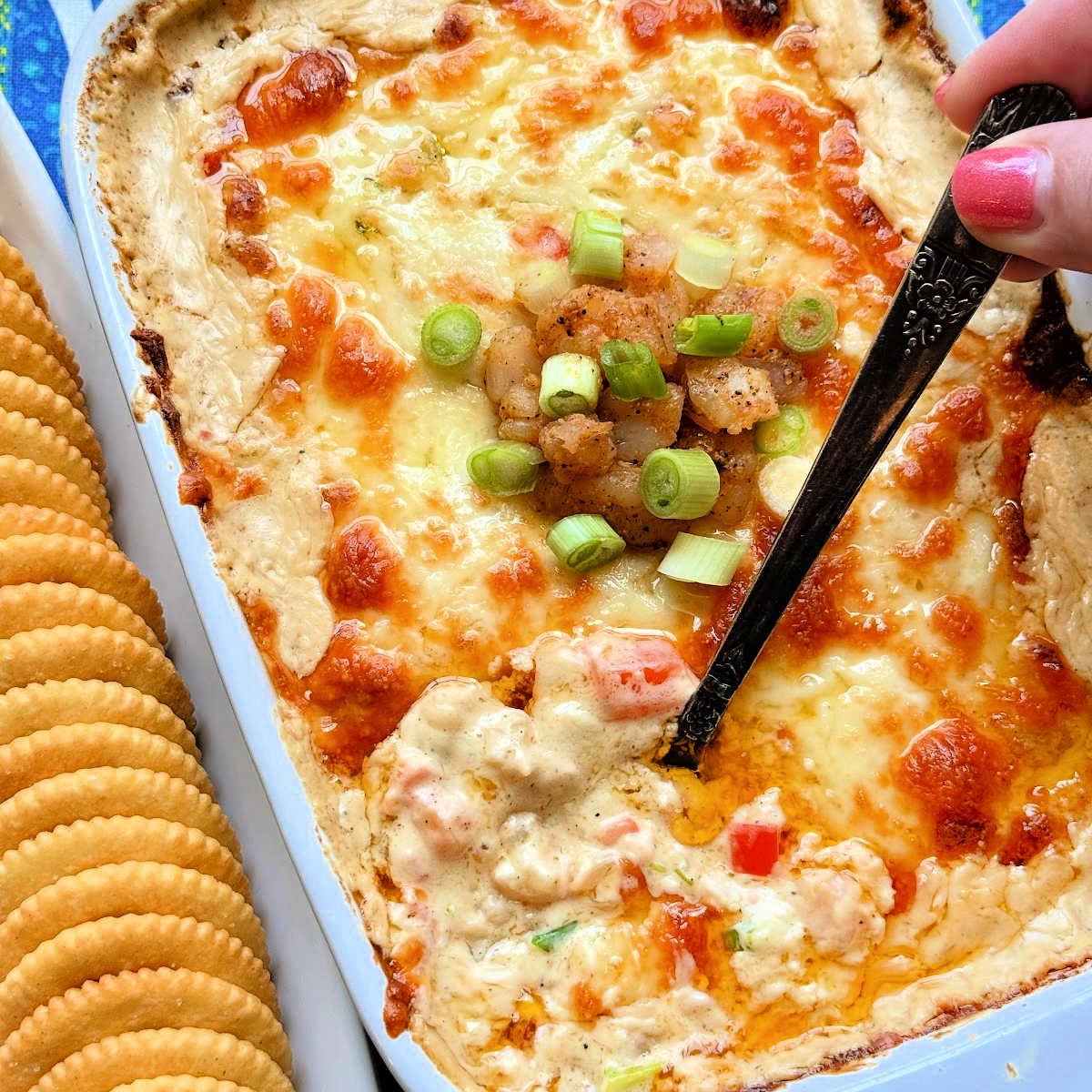Cajun Shrimp Dip