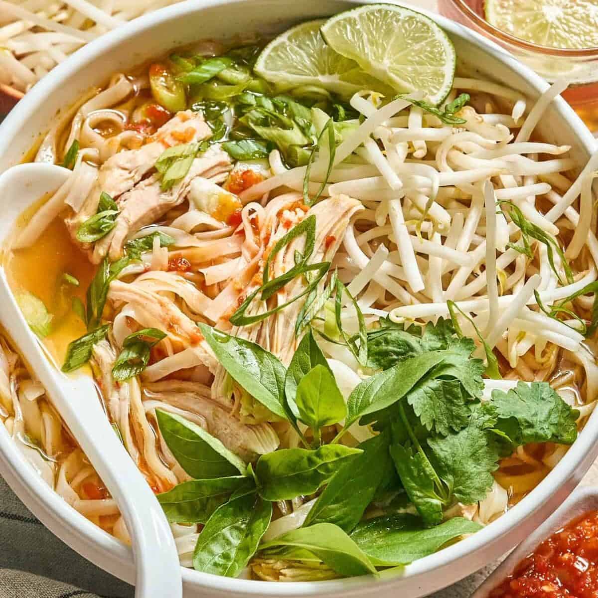 Weeknight Chicken Pho