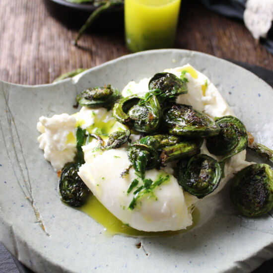 Grilled Fiddlehead Ferns on Burrata