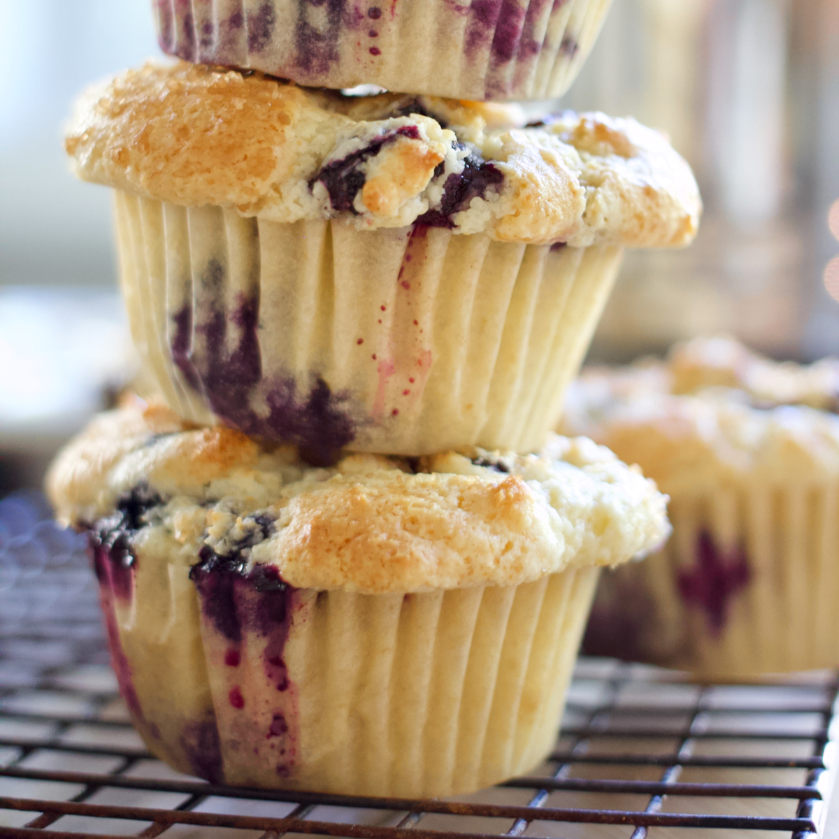 Blueberry Sour Cream Muffins
