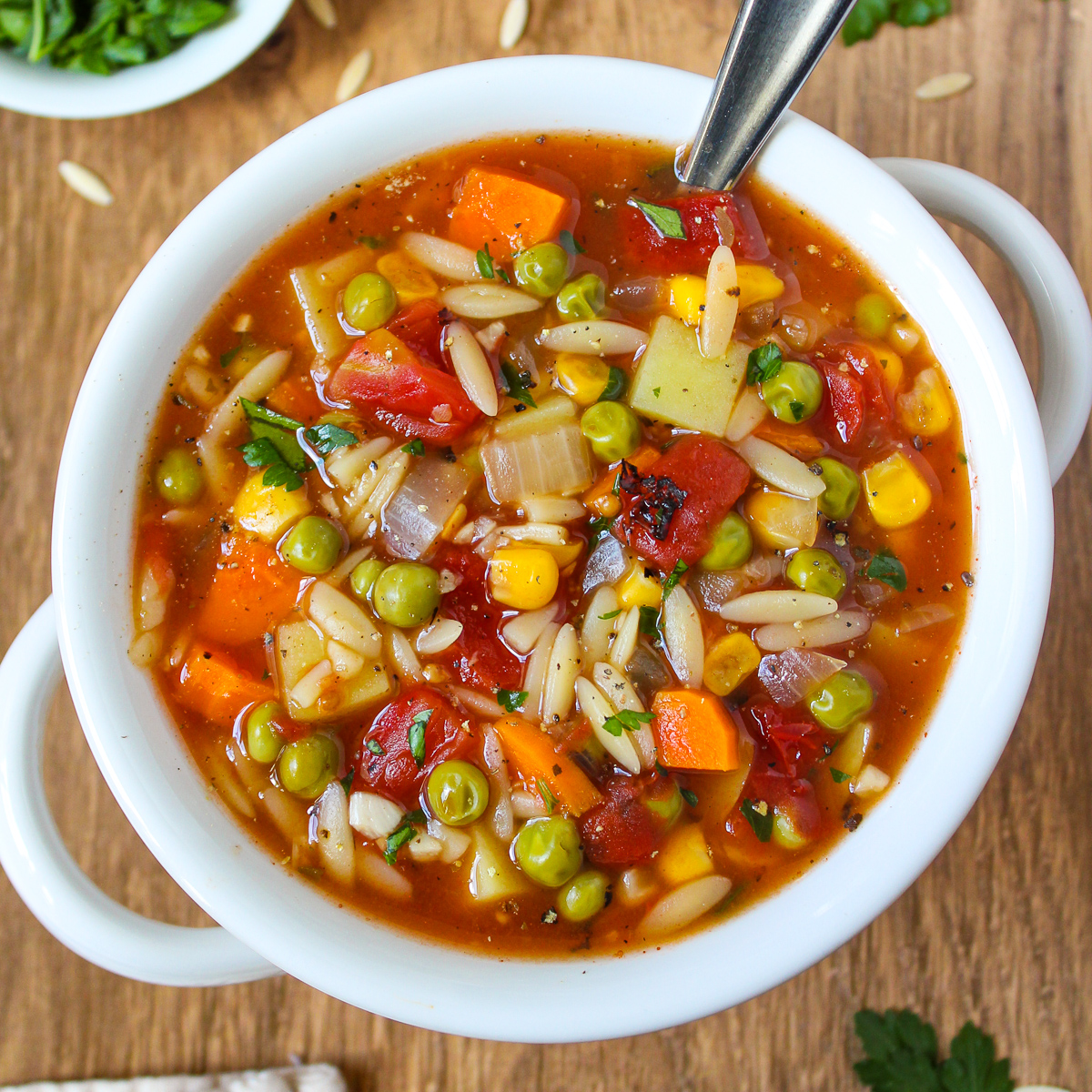 Vegetable Orzo Soup
