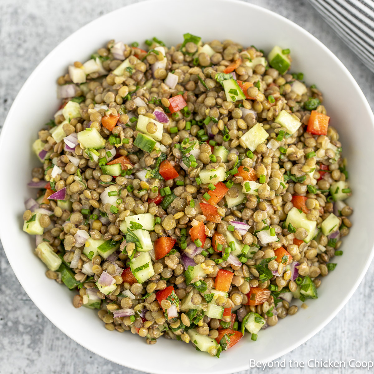 Lentil Salad