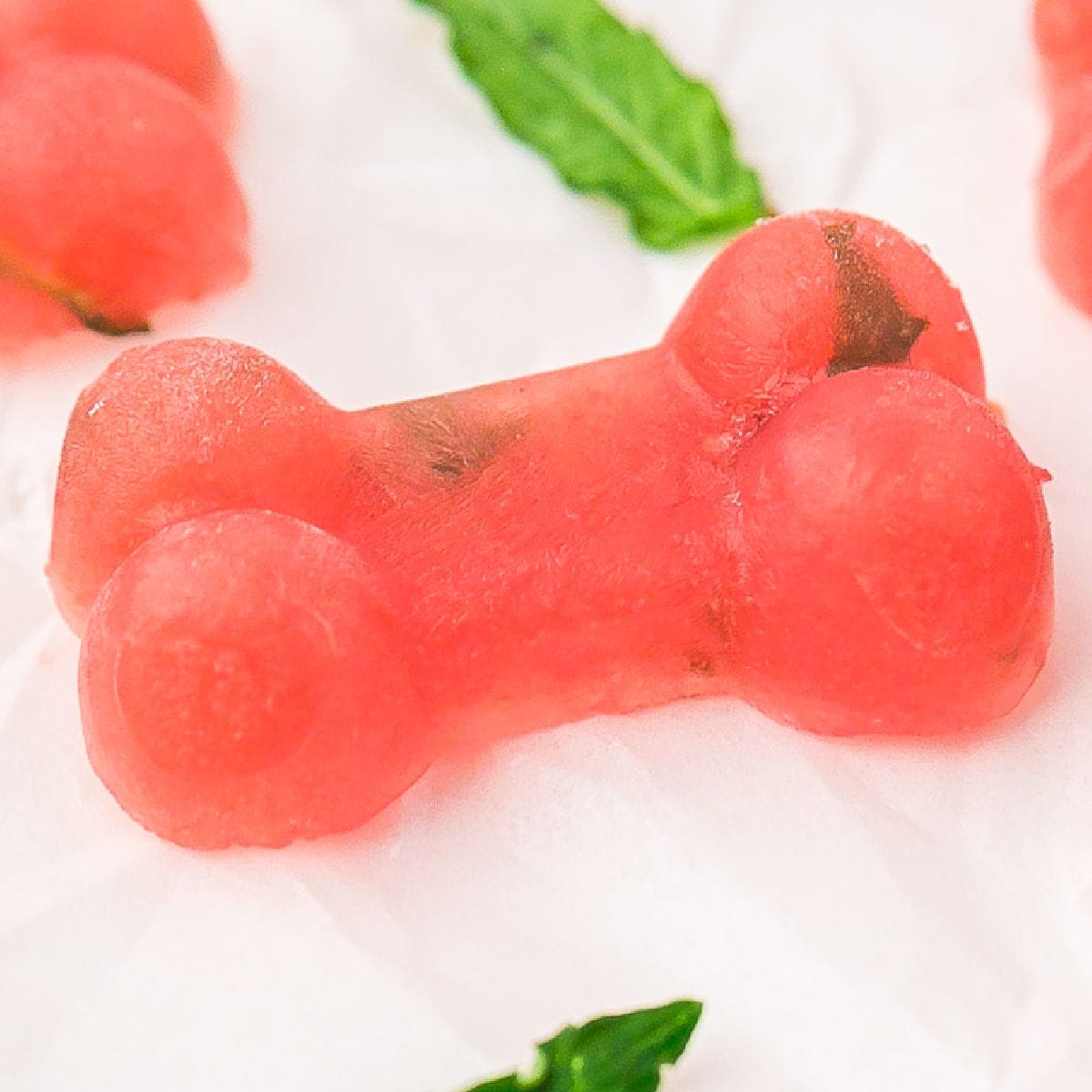 Frozen Watermelon Dog Treats