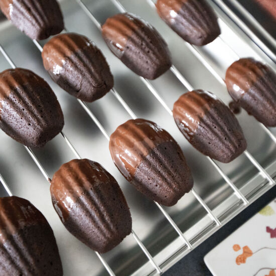Chocolate Madeleines