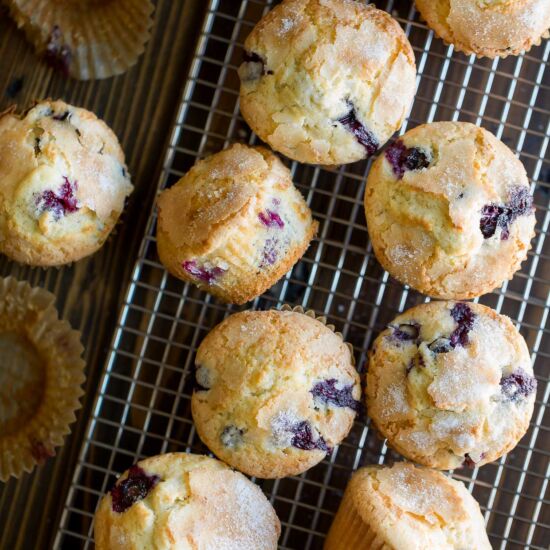 Fluffy Blueberry Muffins