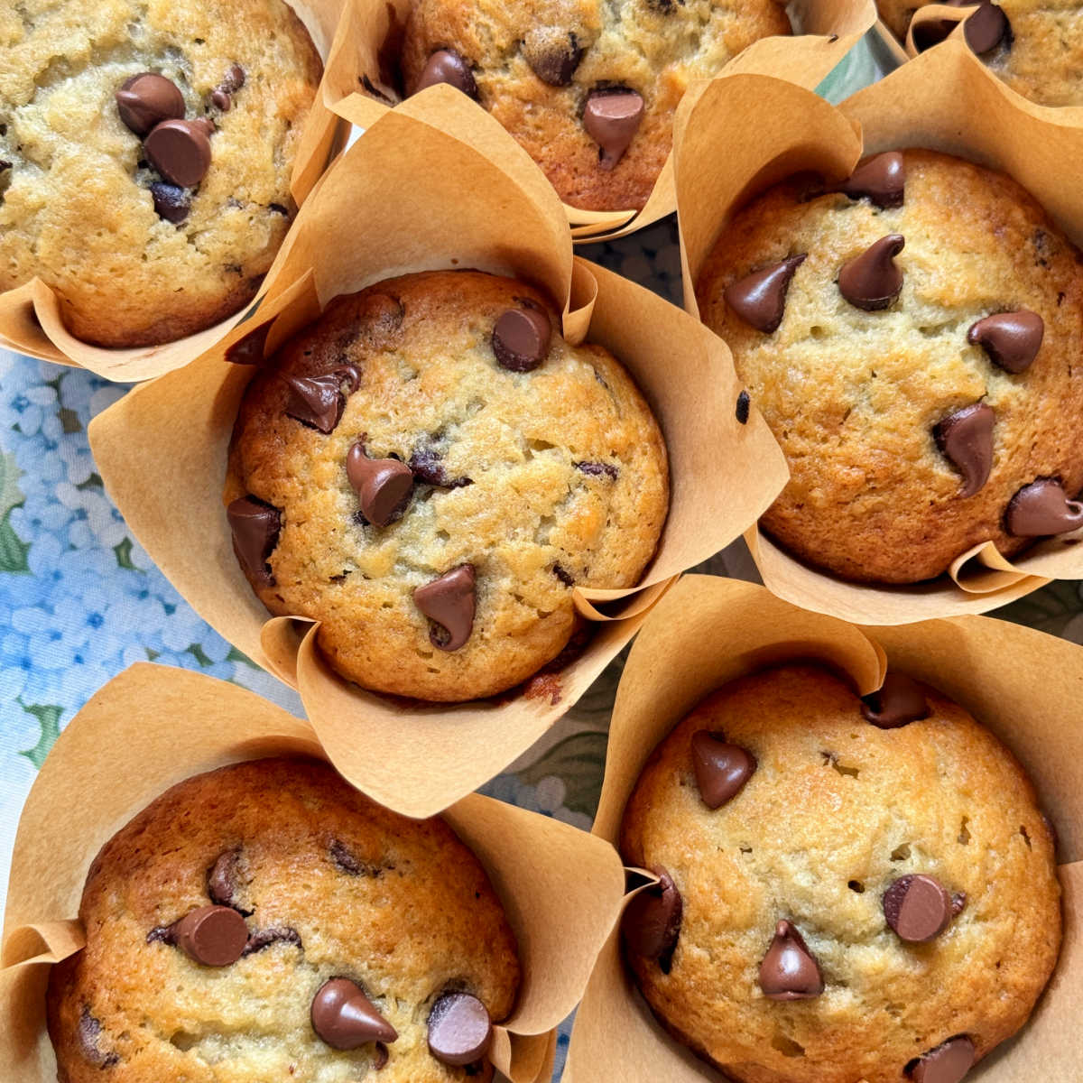 Banana Chocolate Chip Muffins