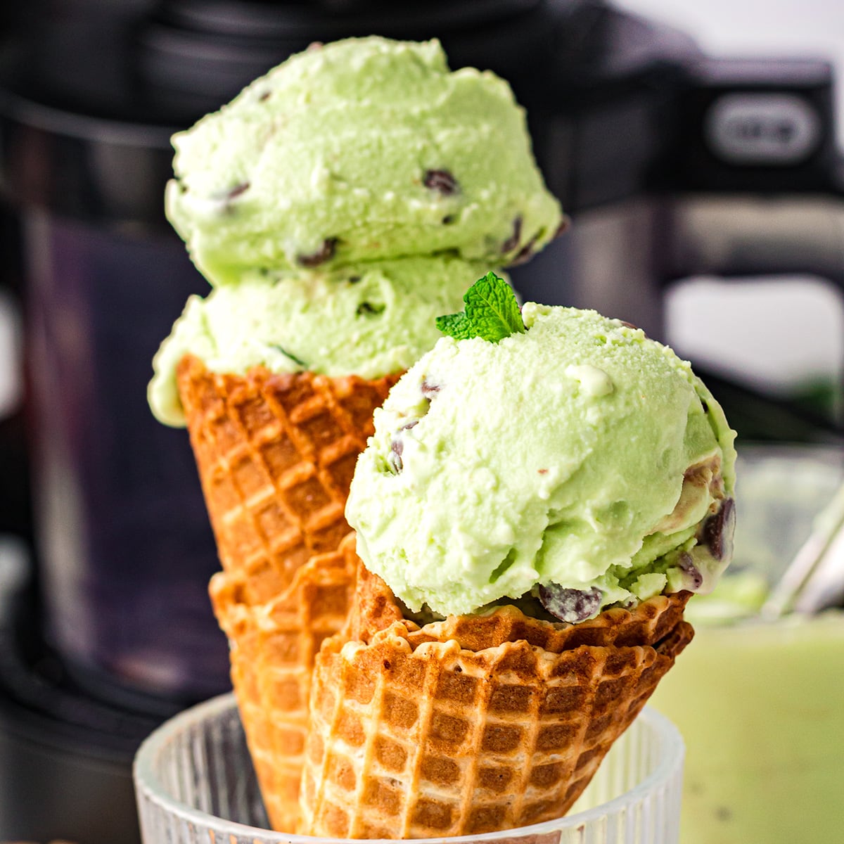 Mint Chocolate Chip Ice Cream